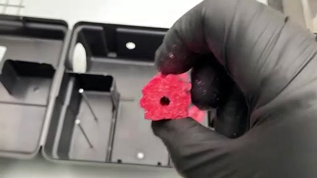 How To Set Rodent Bait Traps (Pet Safe!)