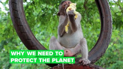 Here's how we're increasing our chances of another pandemic