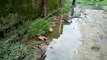 गोण्डा: कोरोना काल में गंदगी का अंबार, सड़कों पर जगह-जगह जलभराव