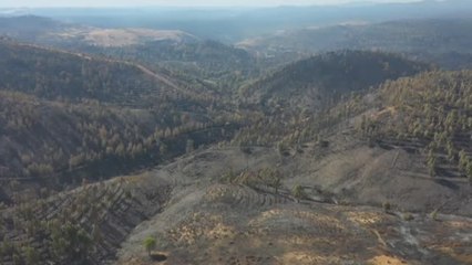 La destrucción del incendio en Huelva, a vista de pájaro