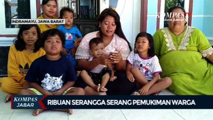 Waspada Serangga ini Bisa Bikin Kulit Melepuh