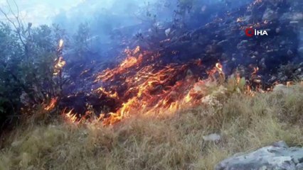 Şırnak'ta ağaçlık alanda yangın: Yüzlerce dönüm alan kül oldu