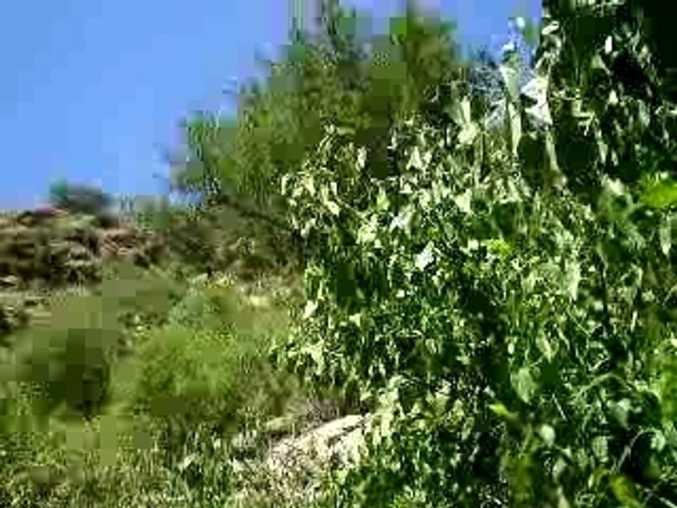 LA 3er CASCADA - CAFAYATE