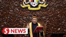Rais Yatim sworn in as Dewan Negara president