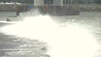 부산, 내일 새벽 태풍 고비...대조기 겹쳐 침수·해일 피해 대비 / YTN