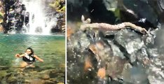 Una serpiente venenosa ataca a una mujer mientras se baña en un río y sus amigos graban el momento