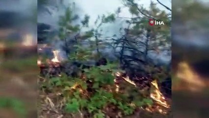 Amasya'da orman yangını yeniden başladı