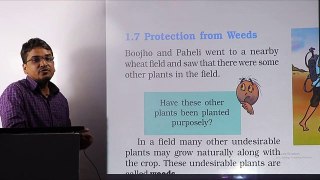 crop production and management in hindi class 8 weeds part 7_1