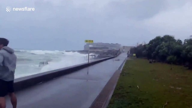 Typhoon Maysak waves batter Japan coast