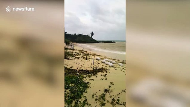 Typhoon Maysak causes choppy seas off coast of Okinawa, Japan