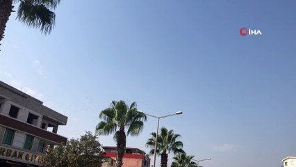 Adana’da leyleklerin göç yolculuğu