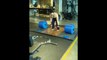 Tiger Shroff Amazing Weight Lifting Viral Video