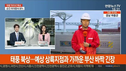 태풍 마이삭 북상…예상 상륙지점과 가까운 부산 바짝 긴장