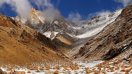 Ladakh snowy time lapse from the depths of winter