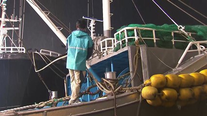 전남 태풍경보 확대...여수 간여암 초속 39.3m 강풍 / YTN