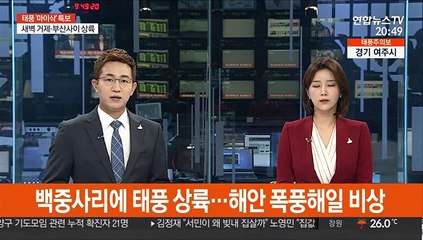 백중사리에 태풍 상륙…해안 '폭풍해일' 비상