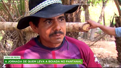 Conheça a vida de encantos e tradições dos boiadeiros no Pantanal