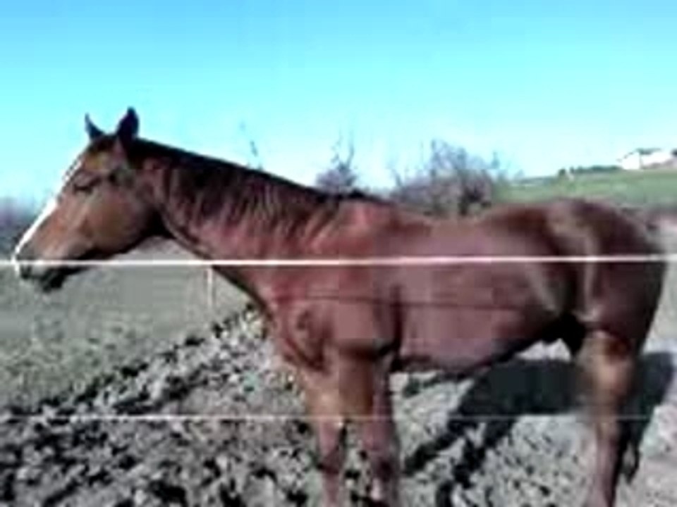 Vidéo0002