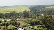Kenyan communities sue UK over colonial-era land grab