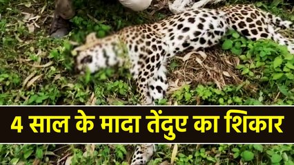 क्लच वायर से बनाया फंदा