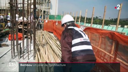 Bambou : un pilier de l’architecture en Asie