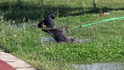 İzmir'de sıcaktan bunalan çocukların tehlikeli oyunu