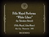 Lilas-Blanc (Lilas blancas) [1905]