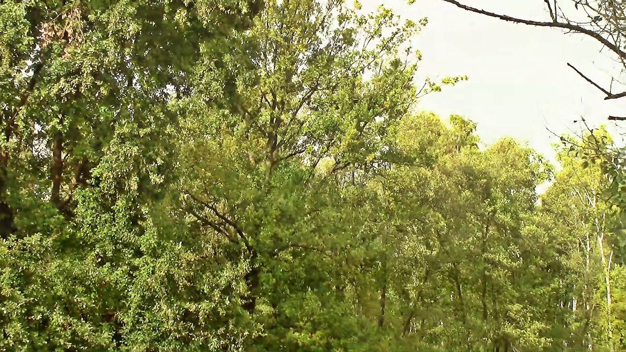 Planespotting KölnBonn Landen 32R – 2