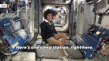 See how astronauts sleep in space