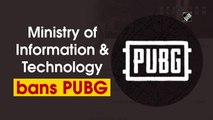 Ministry of Information and Technology bans PUBG, 117 other apps