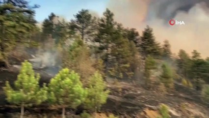 Kastamonu’da ormanlık alanda çıkan yangın yerleşim yerine sıçradı