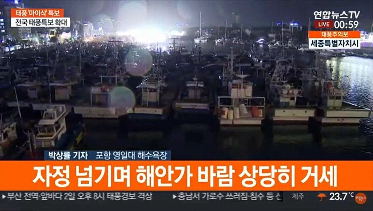 '묶고 조이고'…긴장 가득한 동해안