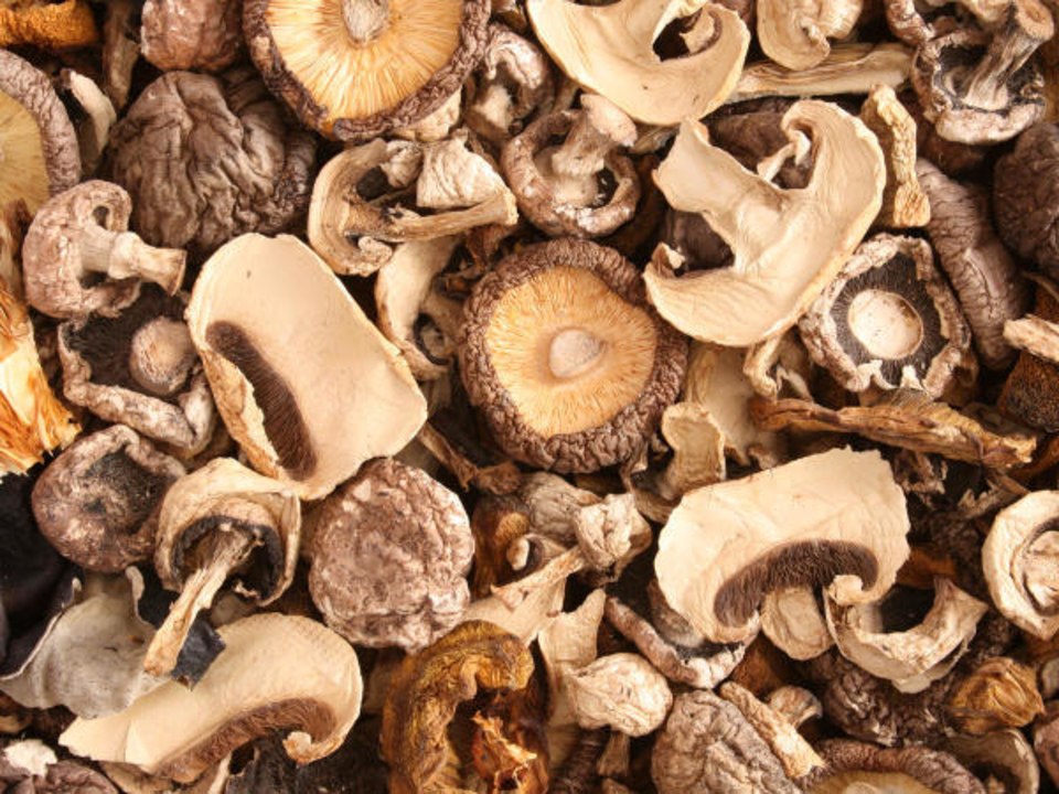 Dried Mushrooms Are Worth Every Penny—Here’s How to Use Them
