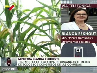 下载视频: Congreso de las Comunas 2.0 contará con la participación de más de 43 mil Consejos Comunales