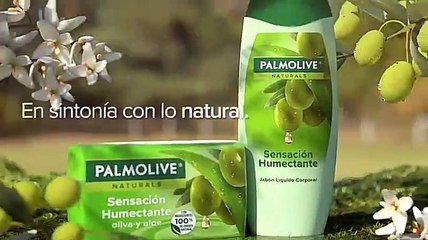 Comerciales Cartoon Network Latinoamérica México 25 de Agosto 2020 (1/2)