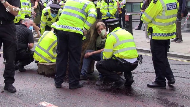 Extinction Rebellion activists lock arms in tree trunk outside Home Office