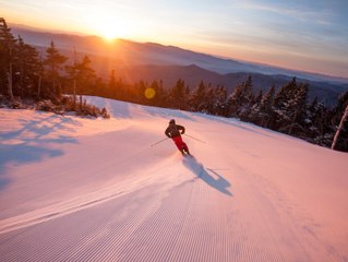 TAZ 4 Temporary Autonomy Zone (Ski)