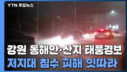 강원 영동 최고 400mm 이상 비...이 시각 강릉 / YTN