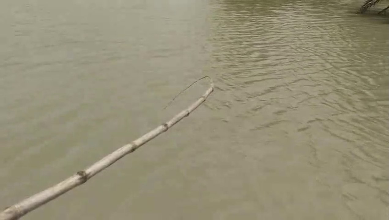 Fishing