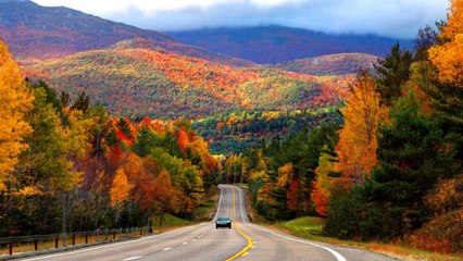 Have a Knack for Spotting Fall Foliage? Apply to Be an Official New York State Leaf-Peeper