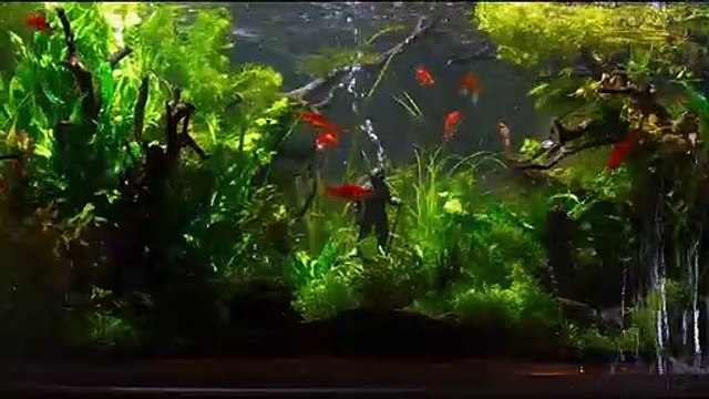 Ondine (2020) - Bande annonce