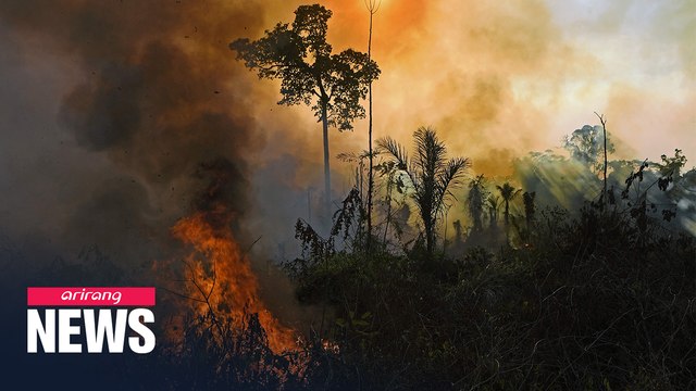 Brazil Amazon fires likely worst in 10 years: Reuters
