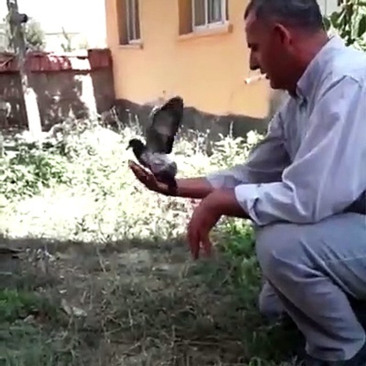 New Funny Video 2020