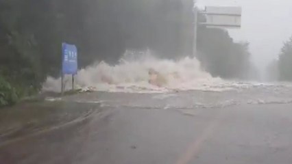 제주 한라산에 1000mm 이상 폭우...도로 침수 ·하천 범람 / YTN