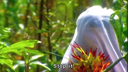 Demo Verano en Venecia