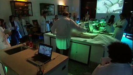 Demo Los protegidos