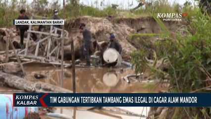 Dimotori KLHK, Tambang Emas Ilegal di Cagar Alam Kecamatan Mandor Ditertibkan