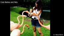 Funniest Animals Scaring People Reactions
