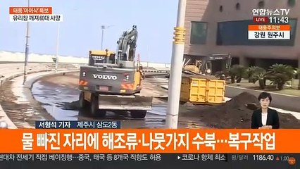 "한 두번도 아니고"…제주도 곳곳 침수 피해