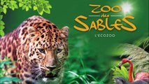 Visite au Zoo des Sables D ' Olonne ( Vendée ) , Mercredi 2 Septembre 2020